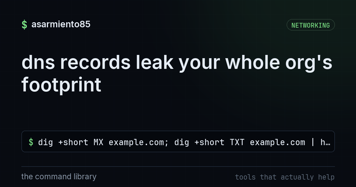 dns records leak your whole org's footprint